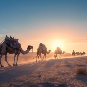 Eating Camel Meat and Wudu