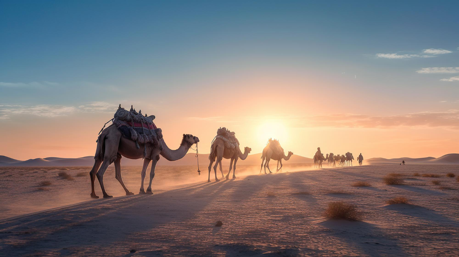 Eating Camel Meat and Wudu